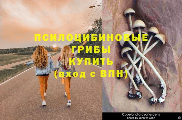 марки lsd Вяземский