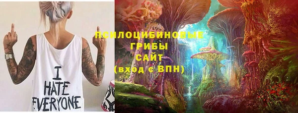 марки lsd Вяземский