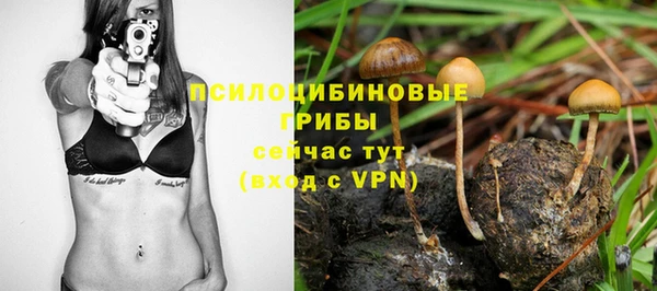 герыч Вязьма