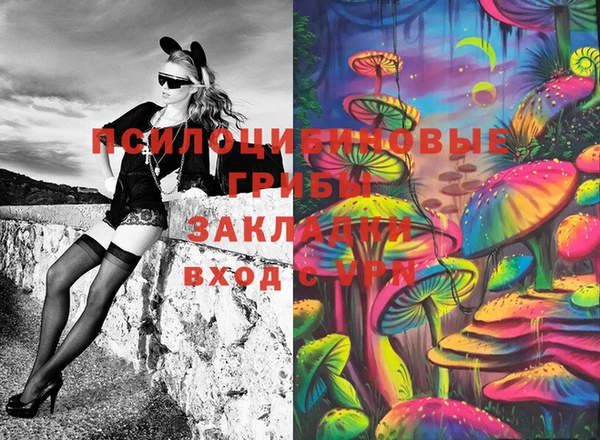 марки lsd Вяземский