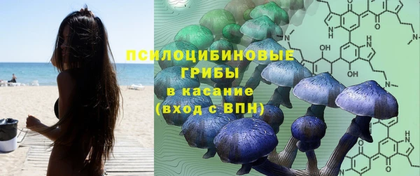 герыч Вязьма