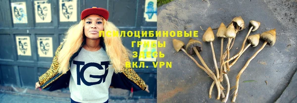 герыч Вязьма
