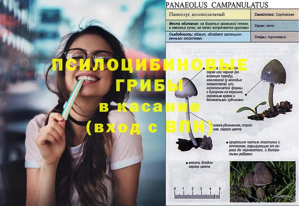 герыч Вязьма