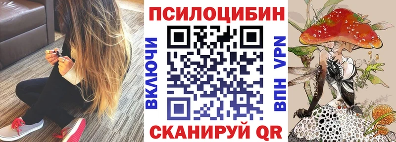 Псилоцибиновые грибы мухоморы  Ессентукская 