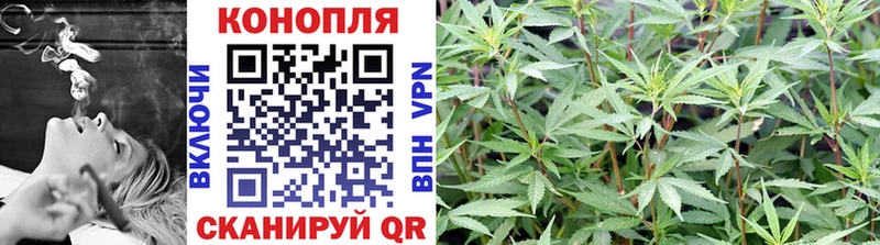 наркотики  Ессентукская  МАРИХУАНА конопля 
